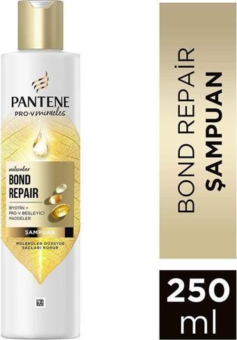 Pantene PRO-V MIRACLES Molecular Bond Repair Şampuan Yıpranmış Saçlar için 250ML