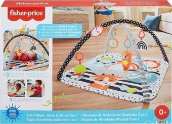 Fisher-Price Neşeli Hayvanlar 3'ü 1 Arada Jimnastik Merkezi HBP41