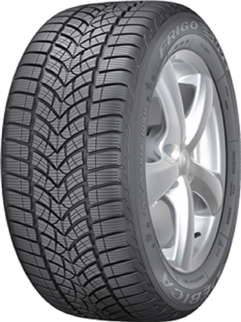 Debica 205/45R17 88V Frıgo HP 2 XL FP Oto Kış Lastiği (Üretim Yılı: 2023)