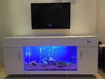 Kanki Pet Akvaryum Tv Ünitesi Kp160Tvled Sehpa 160 Cm