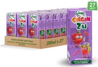 Pınar Çılgın İkili Elma Çilek 200 ml x 27 Adet