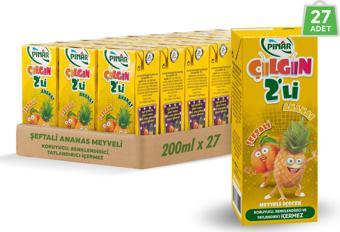 Pınar Çılgın İkili Şeftali Ananas 200 ml x 27 Adet