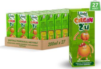 Pınar Çılgın İkili Şeftali Portakal 200 ml x 27 Adet