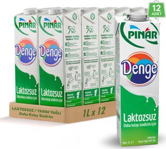 Pınar Denge Laktozsuz Süt 1 L x 12 Adet