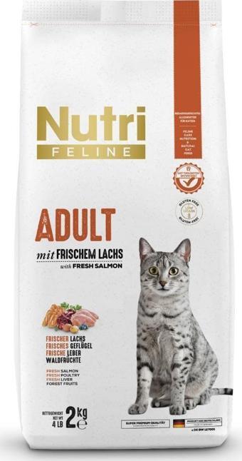 Nutri Feline 2Kg Yetişkin Somon Etli Adult Kedi Maması