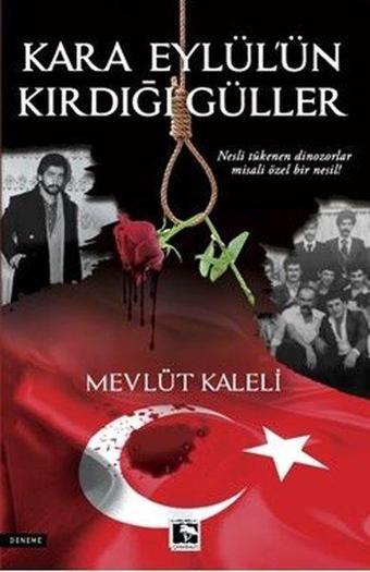 Kara Eylül'ün Kırdığı Güller - Mevlüt Kaleli - Çınaraltı Yayınları