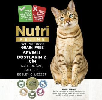 Nutri Feline 10Kg (Böbrek idrar Yolu Sağlığı Için)  Yetişkin Somon Etli Adult Urinary Kedi Maması