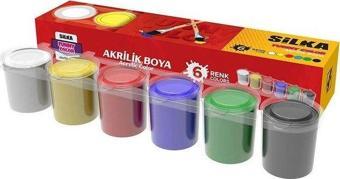 Silgy Silka Akrilik Boya 6 Renkx25Ml A.SS6-6