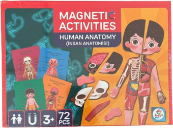 Laço Kids Manyetik İnsan Anatomisi Aktivite Oyun Seti LC8543