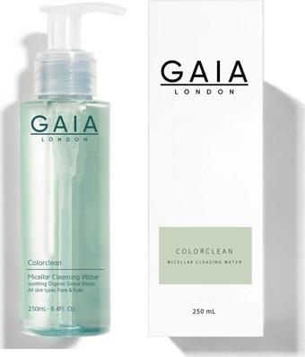 Gaia London Gözenek Sıkılaştırıcı Ve Arındırıcı Tonik 250Ml Yağlı/Akneye Eğilim Gösteren Ciltler (Color Clean)