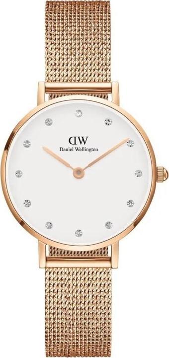 Daniel Wellington DW00600528 28 mm Kadın Kol Saati