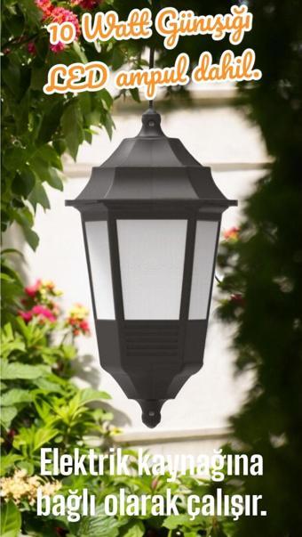 Full Reyon 10 Watt Günışığı Ampul Dahil Dekoratif Duvar Aplik, Bahçe Duvar Armatürü, Modern Şık Duvar Apliği