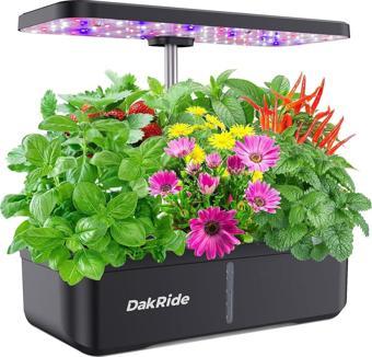 DakRide Hidroponik Yetiştirme Sistemi 12 Bakla, 36W Tam Spektrum LED Yetiştirme Işığı