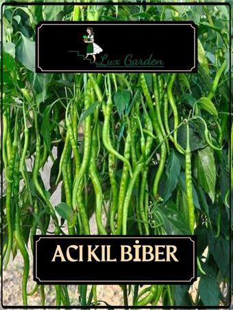 Lux Garden Acı Kıl Biber Tohumu 140 Adet