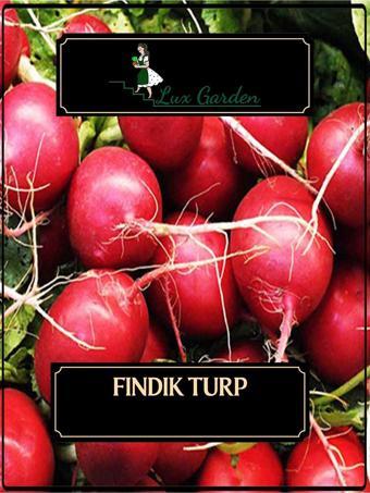 Lux Garden Fındık Turp Tohumu 90 Adet