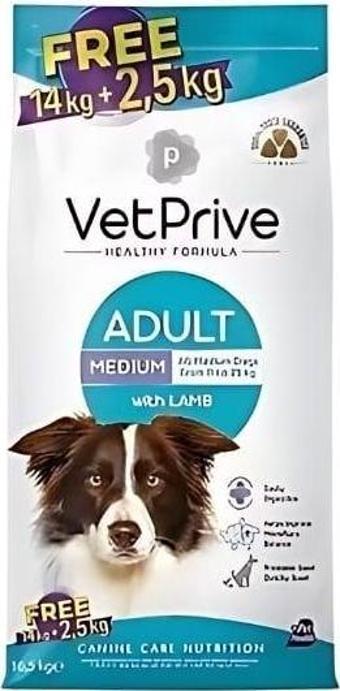 Vet Prive Adult Kuzu Etli Orta Irk Yetişkin Köpek Maması 14+2.5 Kg Hediyeli