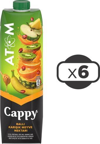 Cappy Atom Meyve Suyu 1 Lt x 6 Adet