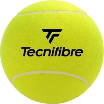 Tecnifibre 12 CM Sarı İmza Tenis Topu 55TFBALL12
