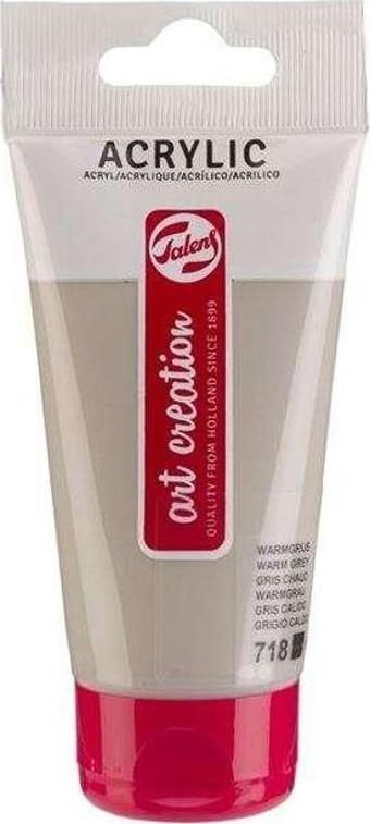 Talens Art Creation Akrilik Boya 75 ml Warm Grey 718
