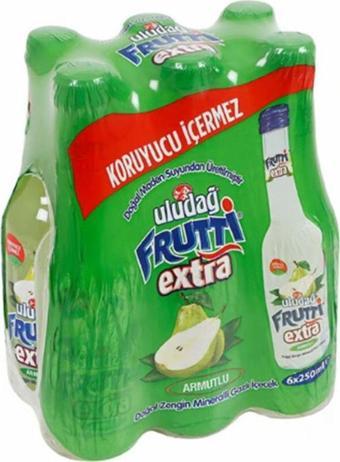 Uludağ Frutti Extra Armutlu 250 Ml X 6 Adet