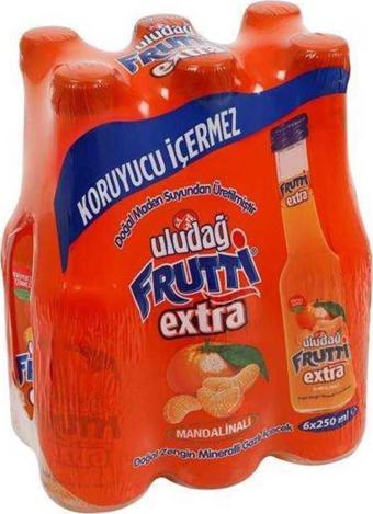 Uludağ Frutti Extra Mandalinalı 250 Ml X 6 Adet