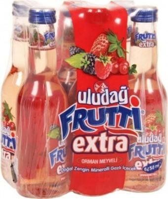 Uludağ Frutti Extra Orman Meyveli Gazlı Içecek 250 Ml X 24 Adet