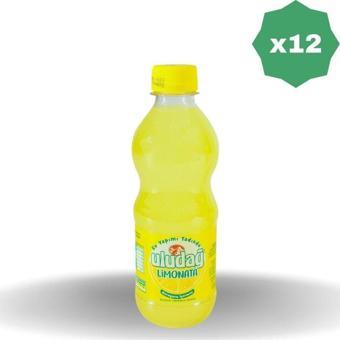 Uludağ Limonata 330 Ml X 12 Adet