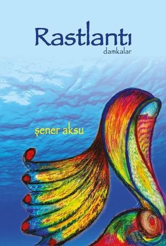 Rastlantı-Damkalar - Şener Aksu - Aydili Sanat Yayınları