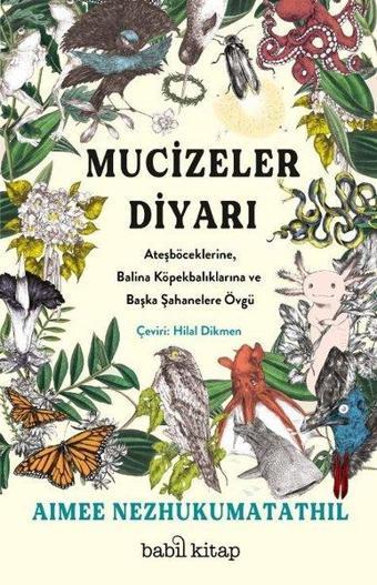 Mucizeler Diyarı - Ateşböceklerine Balina Köpekbalıklarına ve Başka Şahanelere Övgü - Aimee Nezhukumatathil - Babil Kitap