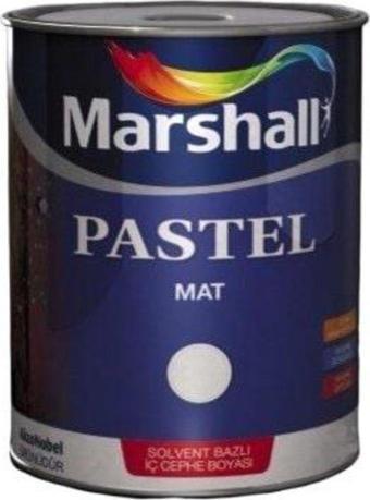 MARSHALL PASTEL MAT BEYAZ 0,75 L