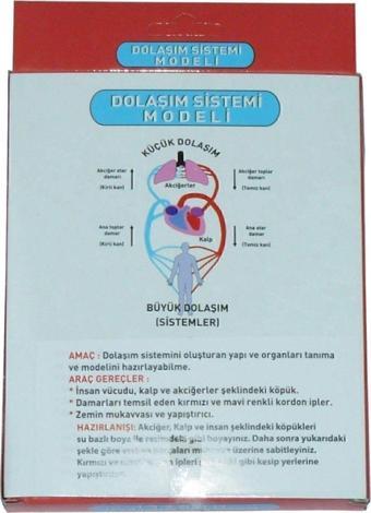 DOLAŞIM SİSTEMİ