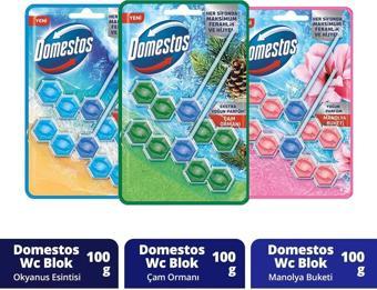 Domestos Tuvalet Bloğu 100 G Çam Ormanı 100 X1 Manolya Buketi 100 G X1 Okyanus Esintisi 100 G X1