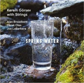 Emre Grafson Müzik Spring Water LP - Kerem Görsev