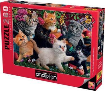 Anatolian 3327 Oyuncu Kediler 260 Parça Puzzle