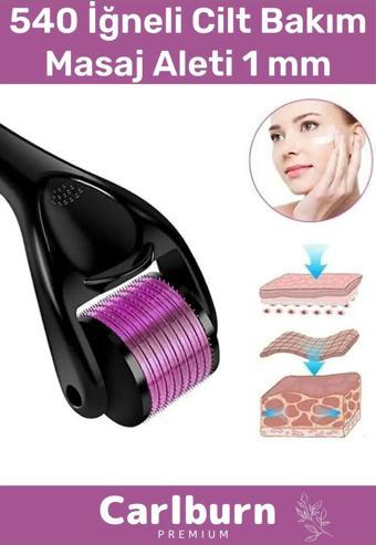 Özel Üretim Derma Roller Titanyum Uçlu 540 İğneli Cilt Bakım Vücut Yenileme Masaj Aleti 1 mm