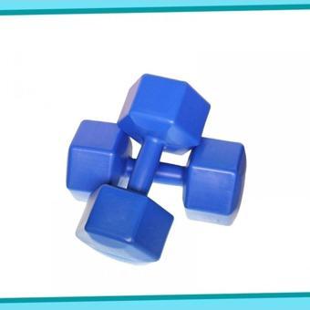 Buffer Yüksek Kalite Içi Demir Tozu Dambıl Ağırlık Seti 2X8 Kg Dumbell Set