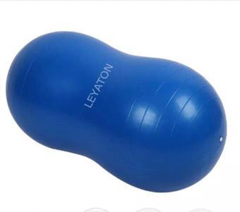 Leyaton Pilates Topu Mavi