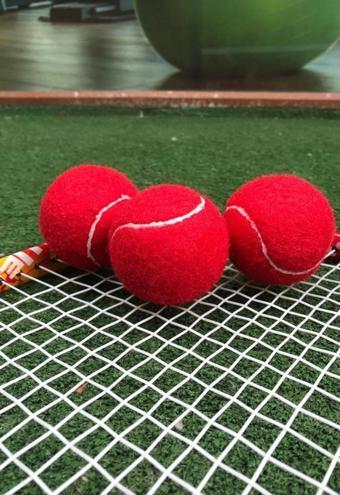 Werkon 3 Adet Antrenman Tenis Topu Kırmızı