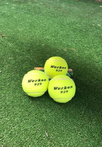 Werkon 3 Adet Antrenman Tenis Topu Sarı