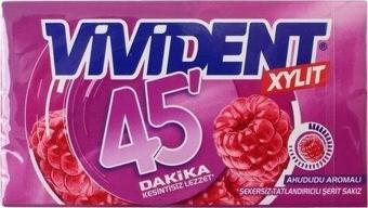 VİVİDENT 45 AHUDUDU 26GR