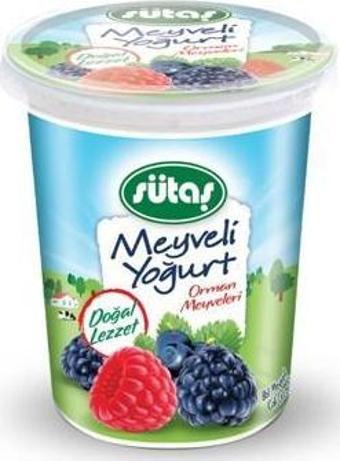 Orman Meyveli Yoğurt 500 g