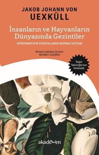 İnsanların ve Hayvanların Dünyasında Gezintiler: Görünmeyen Dünyaların Resimli Kitabı - Jakob Johann Von Uexküll - Akademim Yayıncılık