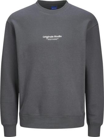 Jack&Jones 12241694 Jorvesterbro Sweat Crew Neck Noos Füme