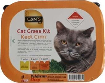 Cans Cat Kedi Çimi