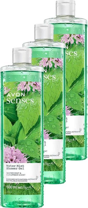 Senses Water Mint Nane ve Salatalık Kokulu Duş Jeli 500 Ml. Üçlü Set