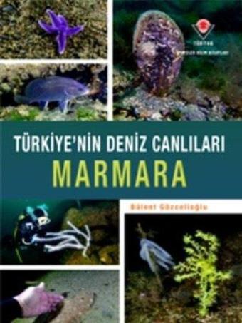 Marmara - Türkiye'nin Deniz Canlıları - Tübitak Yayınları