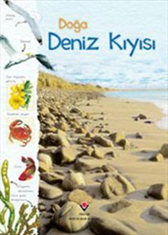 Doğa - Deniz Kıyısı - Sarah Courtauld - Tübitak Yayınları