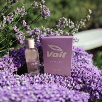 Voit Violet Edp 100 ml Kadın