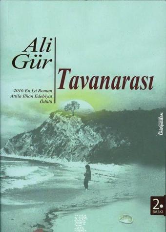 Tavanarası - Ali Gür - Chiviyazıları Yayınevi