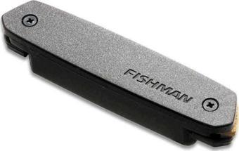 Fishman NEO-D Soundhole Manyetiği